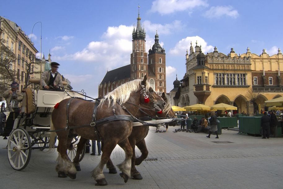 Nasze zdrowie a smog. Bezwzględne i zatrważające dane