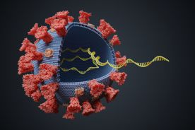 Brazylia: nowy wariant SARS-CoV-2, który może pochodzić od groźnego szczepu